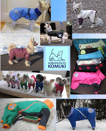 Screenshot_20250917_204440_Samsung Internet.jpg