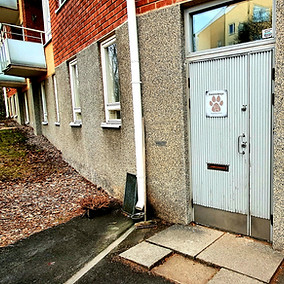 Hännänheiluttajat koirapäiväkodin etuovi