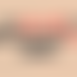 AFC Fylde Community Foundation's 'The Silent Fundraiser 2026'