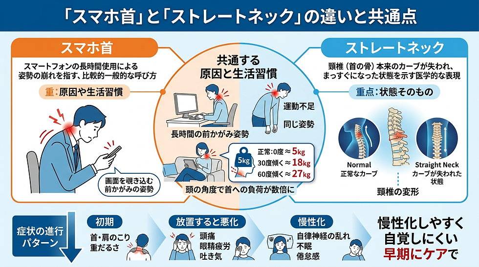 スマホ首とストレートネックの違いを示す図。男性がスマホを見て前傾姿勢。首の負荷や生活習慣の影響を説明。カラフルなイラストとテキスト。