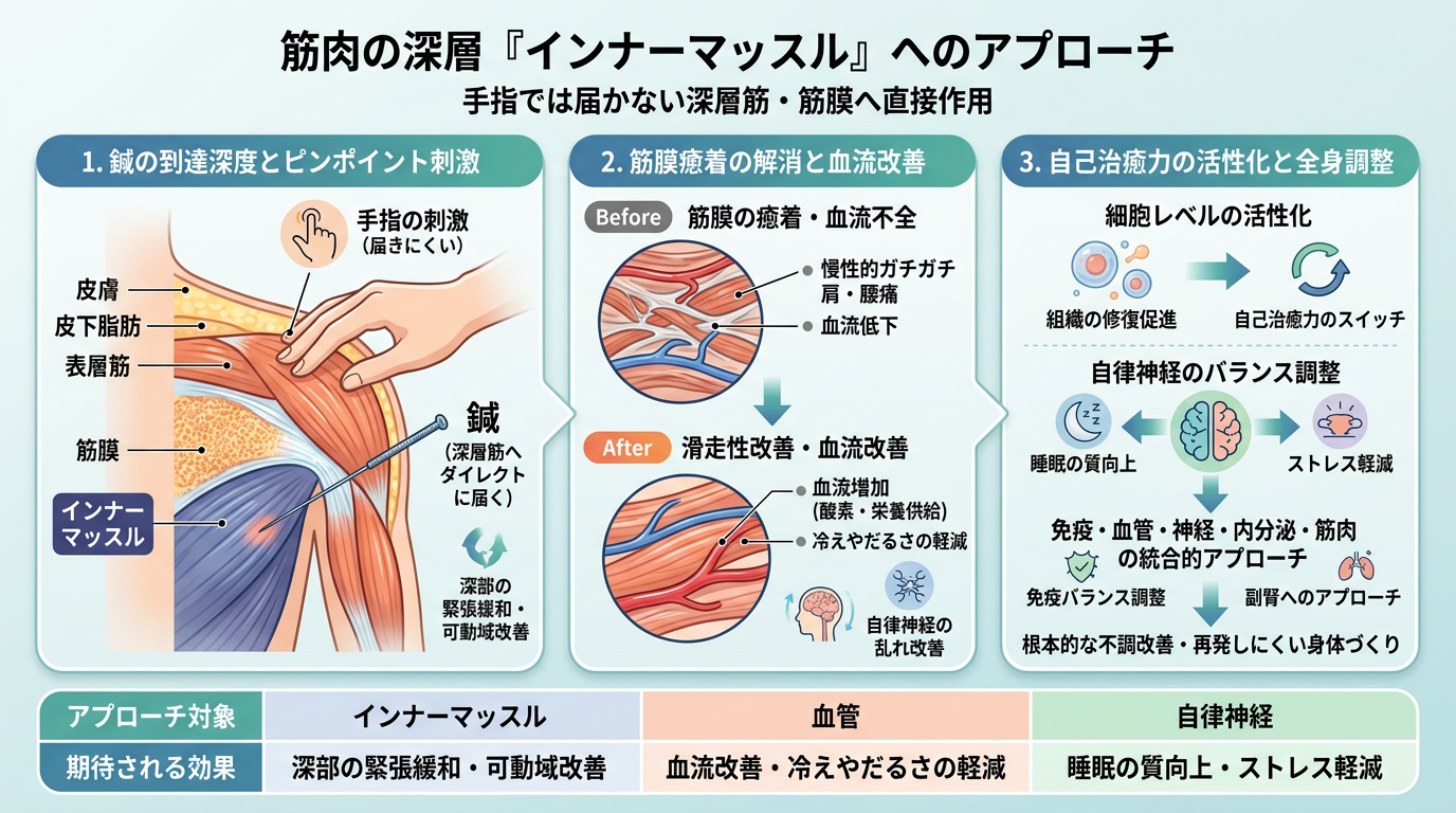 完全版】淀川区・塚本で選ばれる鍼灸・整体ガイド｜慢性的な痛みを根本