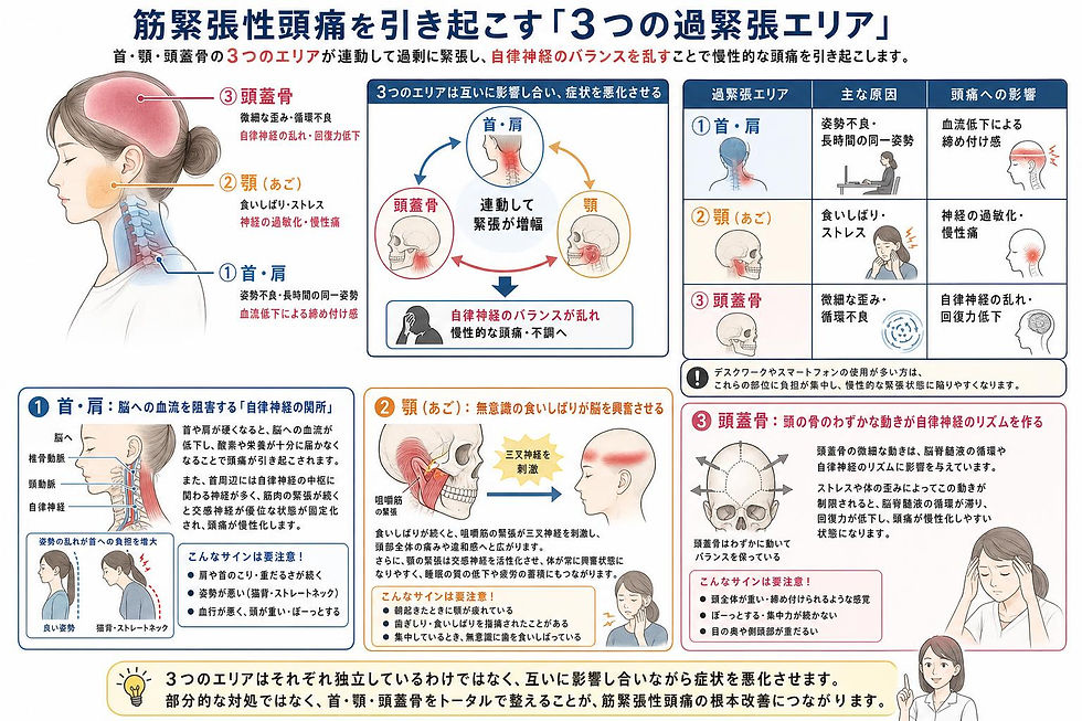 筋緊張性頭痛の説明図。女性の首と頭部の図解、赤い強調部分あり。首・顎・頭蓋骨の過緊張エリアを示し、自律神経の影響を説明。