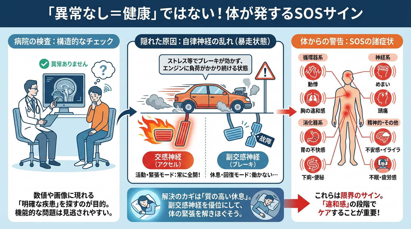 検査で異常なし」と言われたその不調、実は自律神経かもしれません