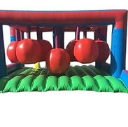 Inflatable Knock Down.jpeg