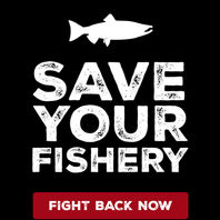Save Your Fishery