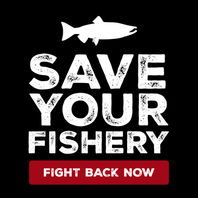 Save Your Fishery