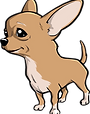 rambo (2)_edited.png