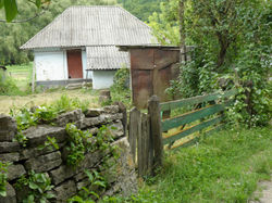 Ukraina