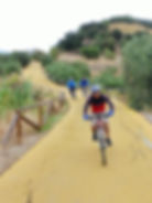 Via Verde Cycle way