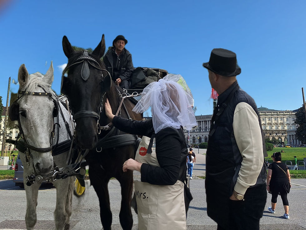 Hochzeitstag vor der Hofburg- Doris Weiser | Wise Guide