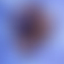 שביל קליפות תפוז מסוכרות