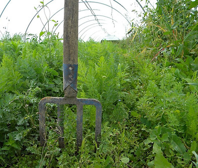 Travail à la ferme