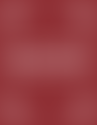 Rosies Fall 2024 Zine