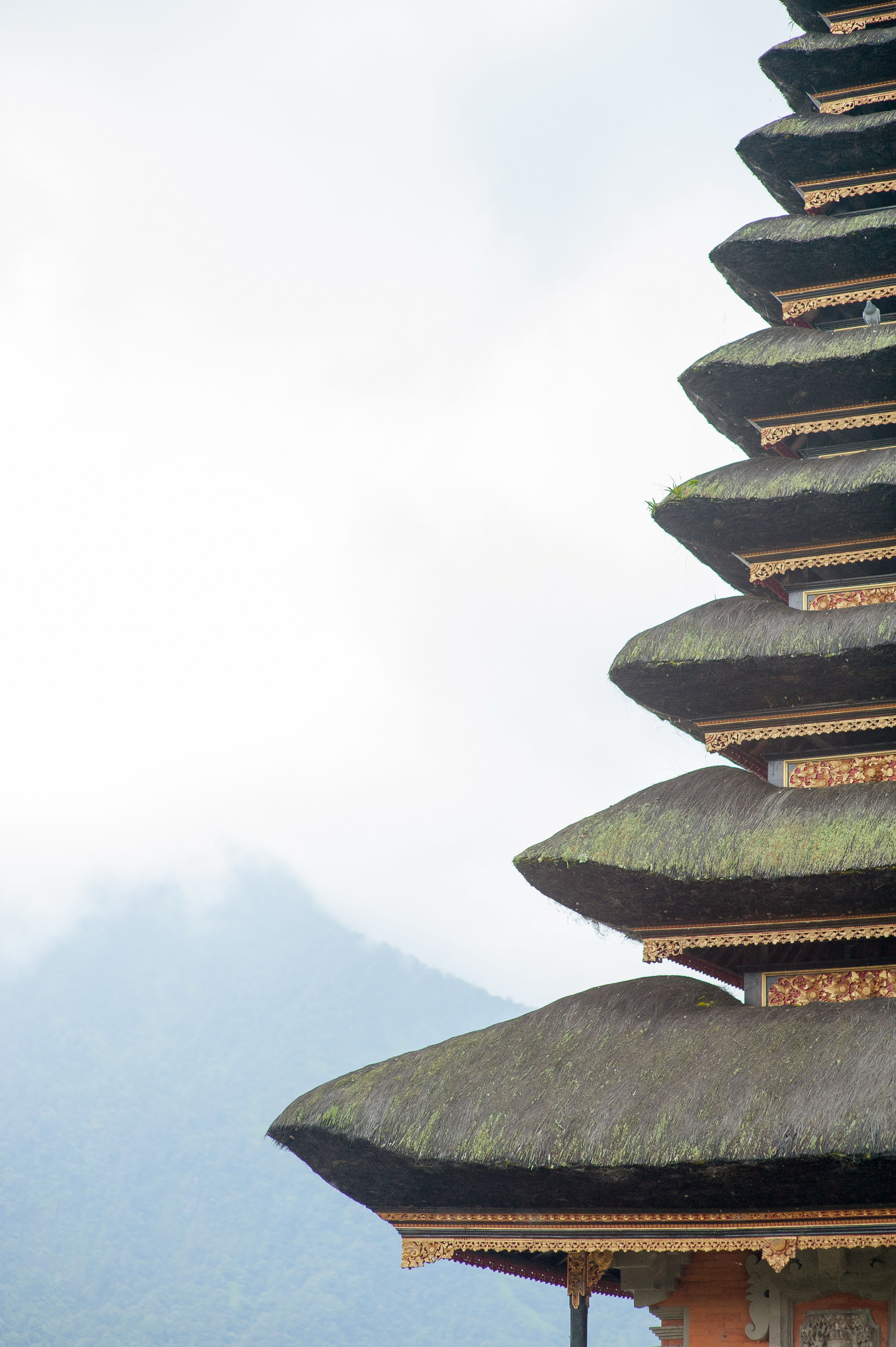 Temple Of The Mist