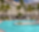 Swimming Pool with Planted Tress