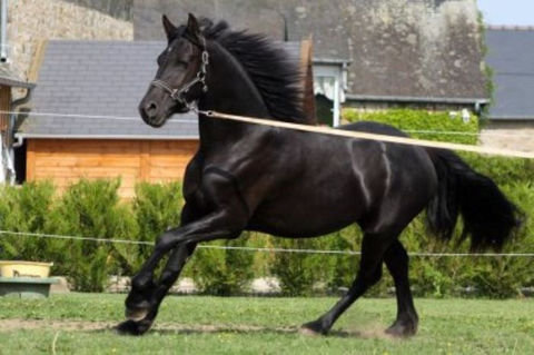 Les Herbages de Beauvais