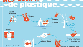                    Vers la fin des sacs plastiques !