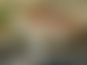 Лучший рацион во время лыжных каникул