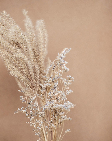 Dried florals and grass on tan backgroun