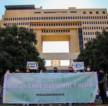 Protesta con Greenpeace.jpeg