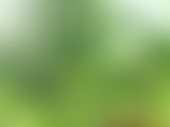 En el Día del Medioambiente: organizaciones sociales recalcan urgencia de firmar Acuerdo de Escazú