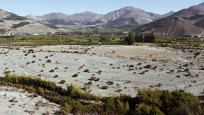 Chile: el único país en donde un palto tiene más derecho al agua que tú y donde 24 son menos que 12