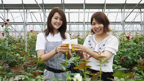 マイナビ農業「農業女子とビールで乾杯！」ネット配信されました☆