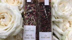 ROSE LABO 11月　出店情報♪
