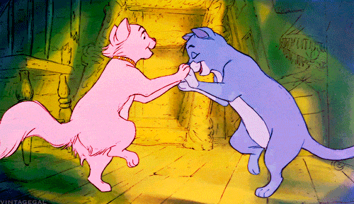 giphy (12).gif