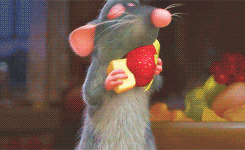 giphy (18).gif