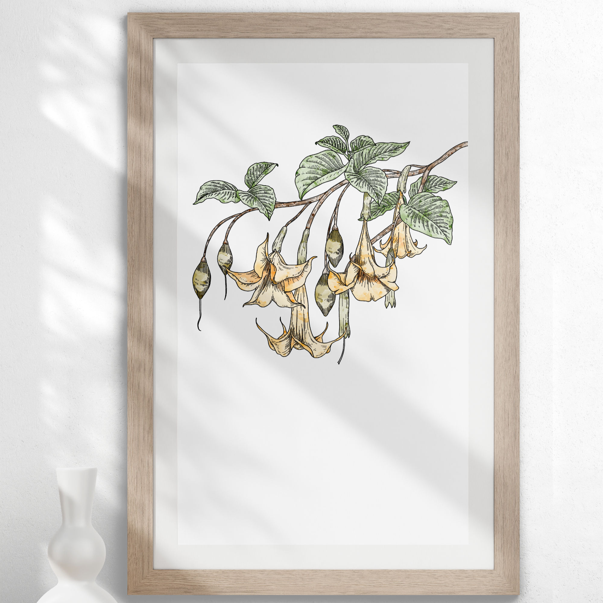 Angels Trumpet A4 Print
