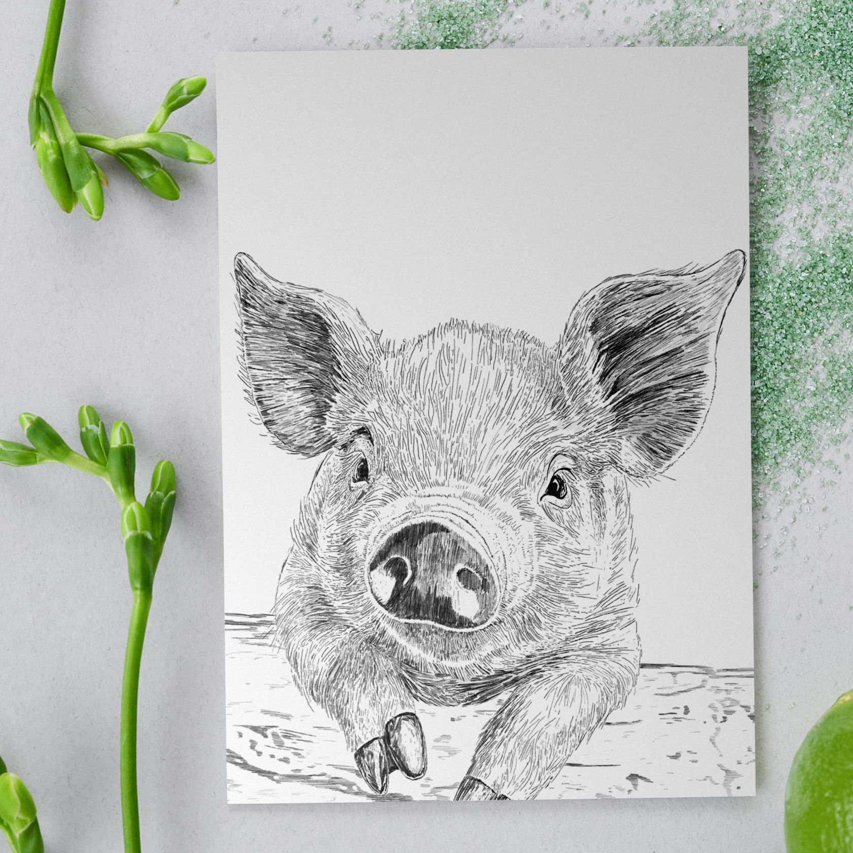 A Peering Piggie A5 Card