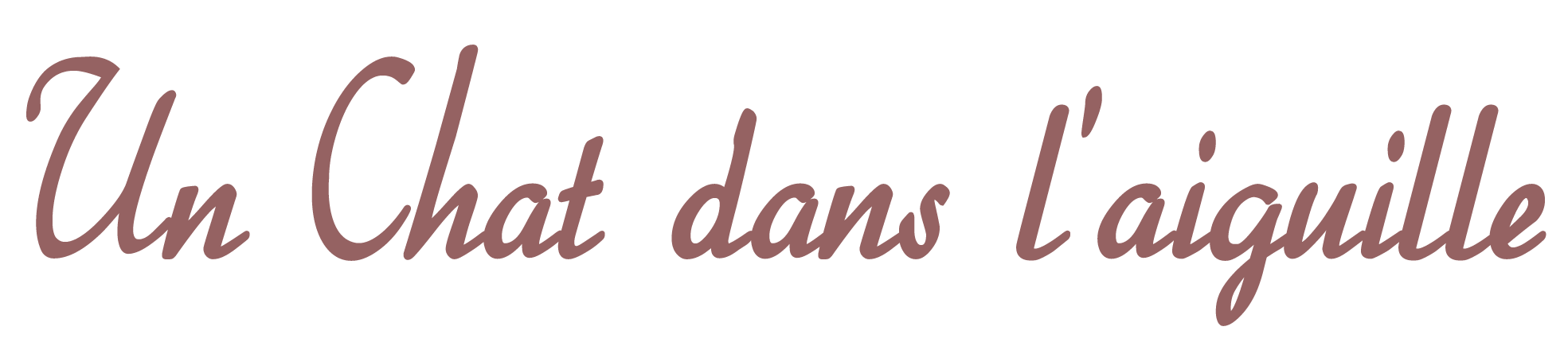 Un-Chat-dans-laiguille