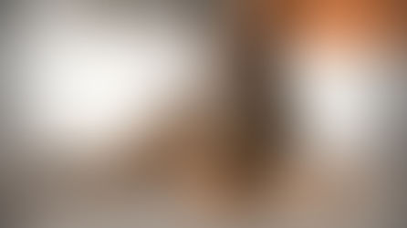 How to help military dogs