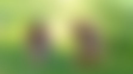 5 ways I’m exactly like my dog