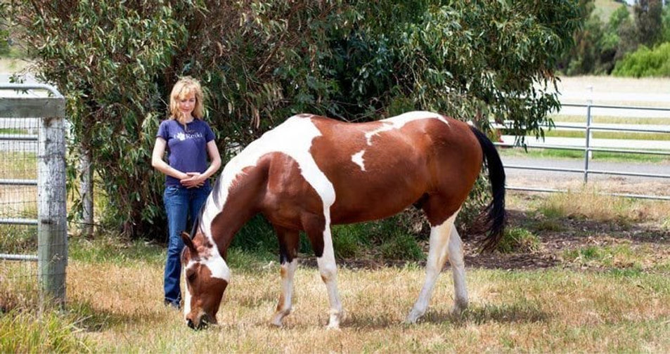Simple equine Reiki for powerful rehab results