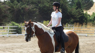 Life lessons from my horse whisperer