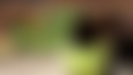 The best teas (plus the #1 secret to a perfect cup)