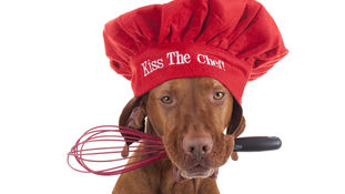 What’s your favorite cookbook?