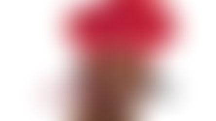 What’s your favorite cookbook?