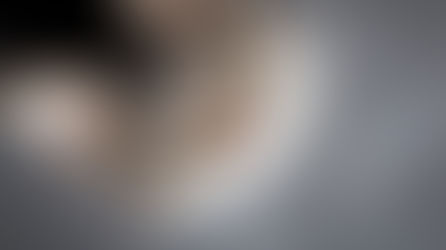 Why I love the Cat Protection Society