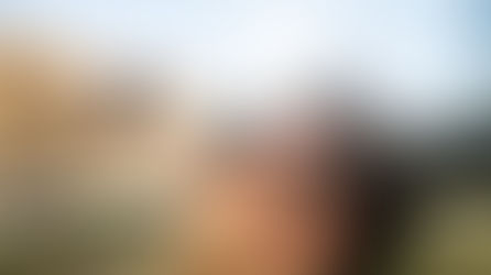 Signs your animal really loves you