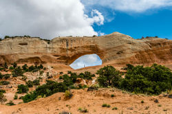 Arches National Park