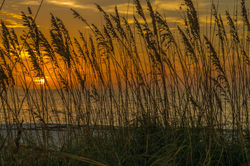 Clearwater Beach FL