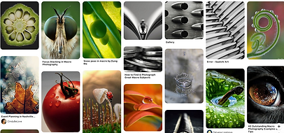 Macro