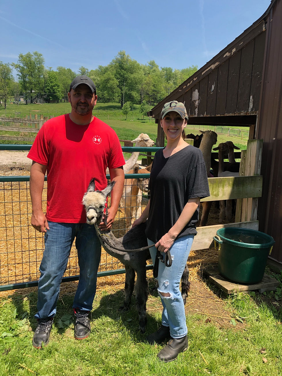Husband and wife in a farm with a baby alpaca in the middle of them