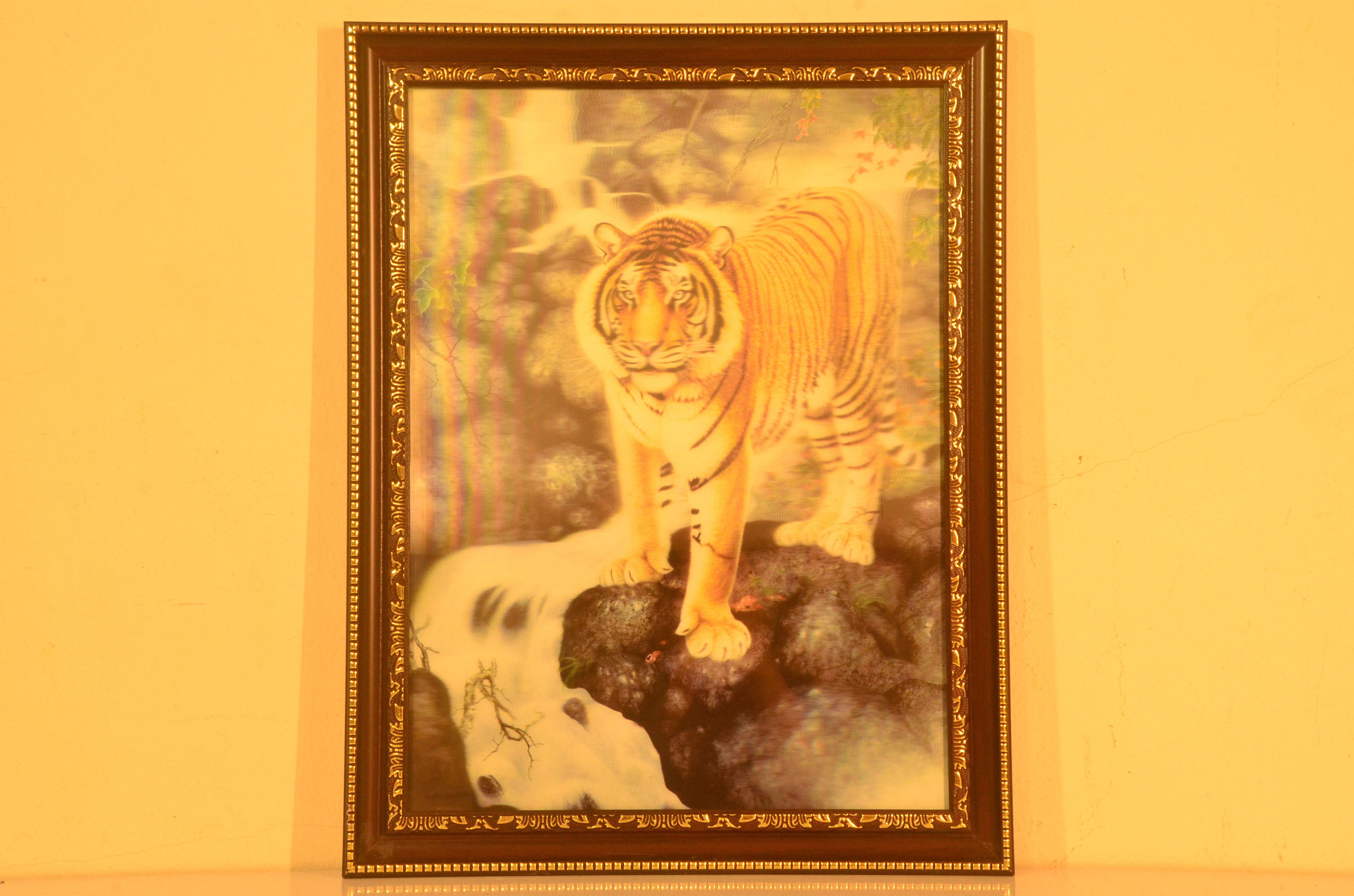 ภาพ 5 มิติ เสือ