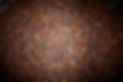 ML7A7504.jpg