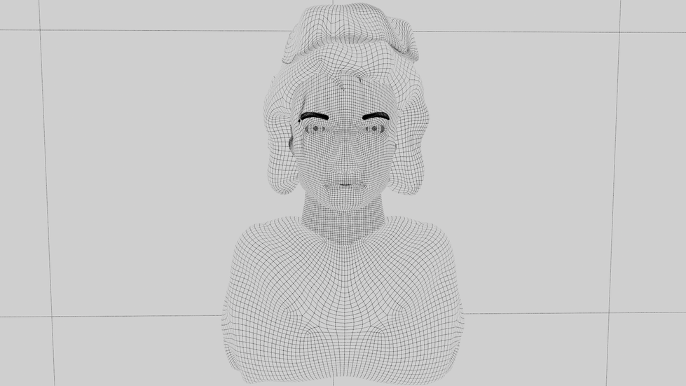 Project_2_Retography_Main_Camera_masterLayer_Wireframe_001