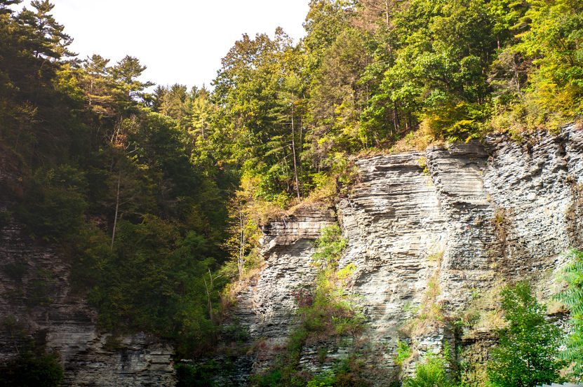 Scenic Overlook